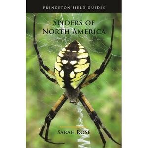 Spiders of North America -- Sarah Rose